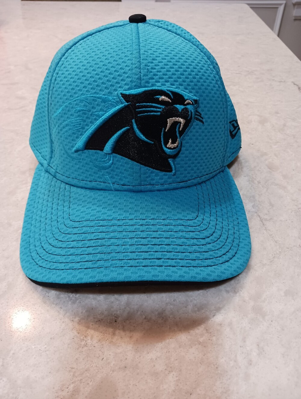 Carolina Panthers Teal Mesh Logo Hat